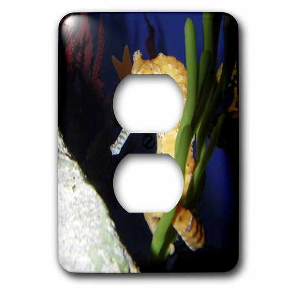 3dRose, Sea Me Horse Around, 2 plug outlet cover