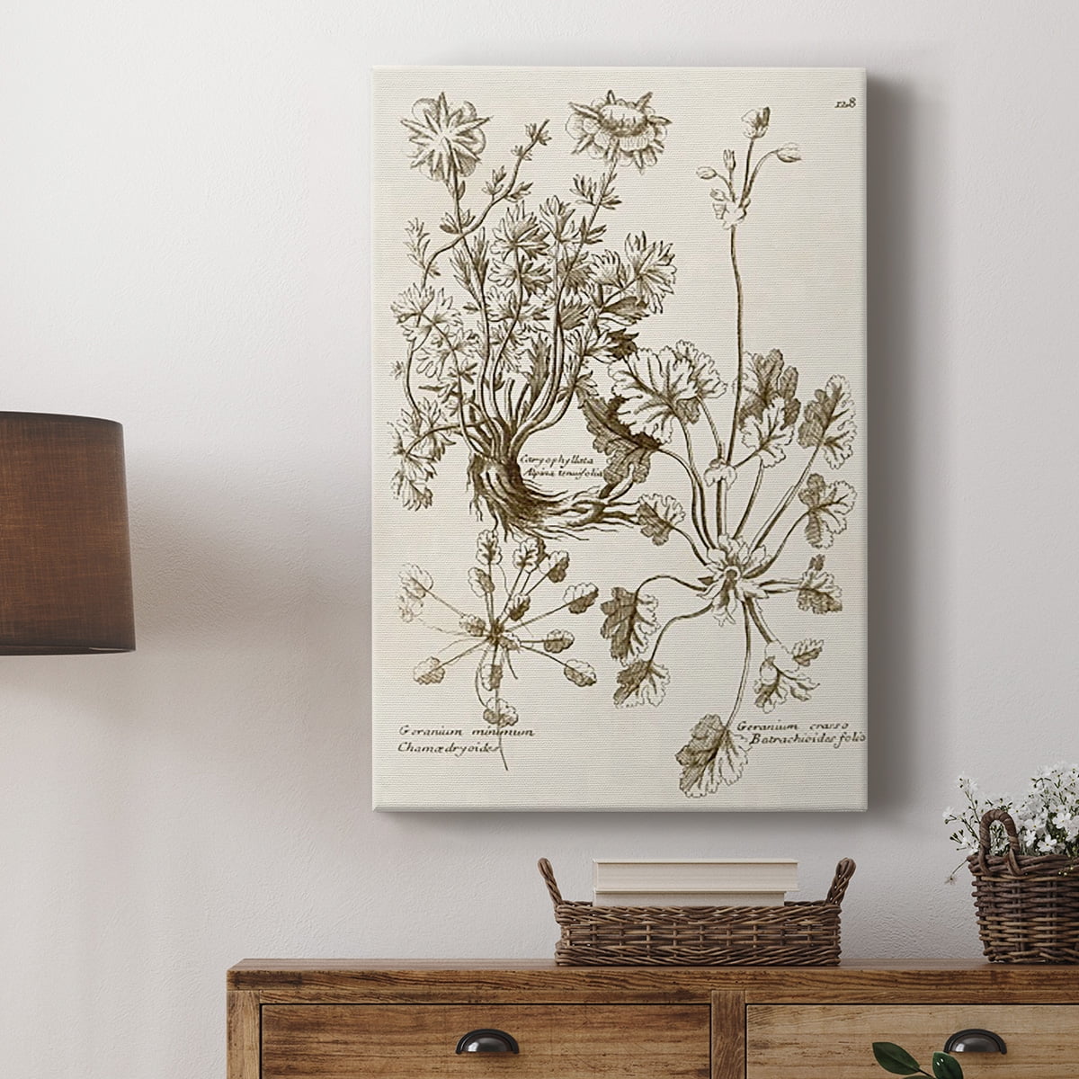 Sepia Botanical Journal IX Premium Gallery Wrapped Canvas - Ready to Hang