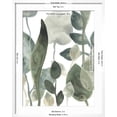 thumbnail image 5 of Art.com Water Leaves III Art Print by June Erica Vess, White Frame Wall Art, 23" x 29", 5 of 5