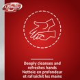 thumbnail image 2 of Lifebuoy Nature Hand Wash, 2 of 7