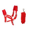 thumbnail image 1 of Cabezada para Caballo Cuello Ajustable Color Rojo + Cuerda de Caballo Sunnimix Collar acolchado suave de la cabeza de caballo, 1 of 8