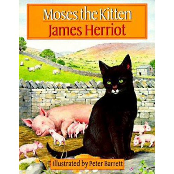 Pre-Owned Moses the Kitten