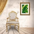 thumbnail image 3 of Pinto, Patricia 17x24 Gold Ornate Wood Framed with Double Matting Museum Art Print Titled - Uraba Palm I, 3 of 4