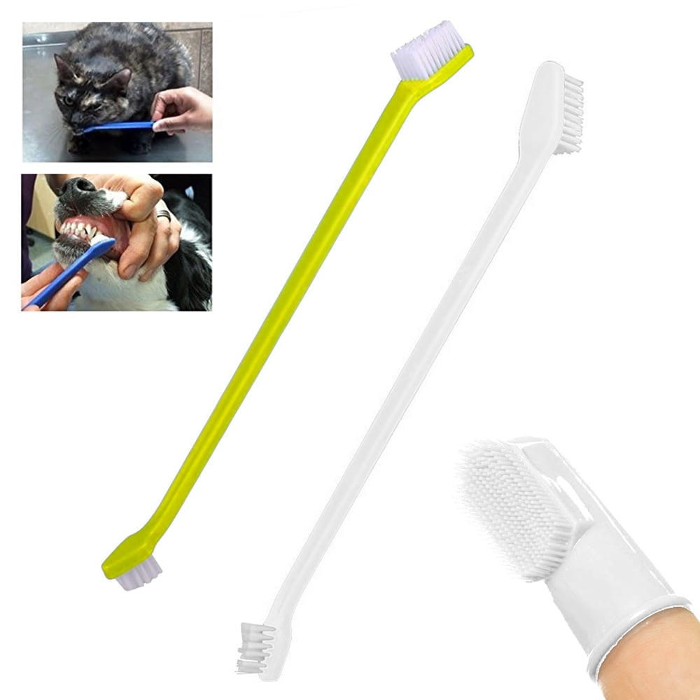 Are Cat Or Dog Mouths Cleaner