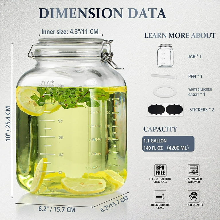 Syntic 1.1Gal Glass Jar with Hinged Lid, 142 oz Food Storage
