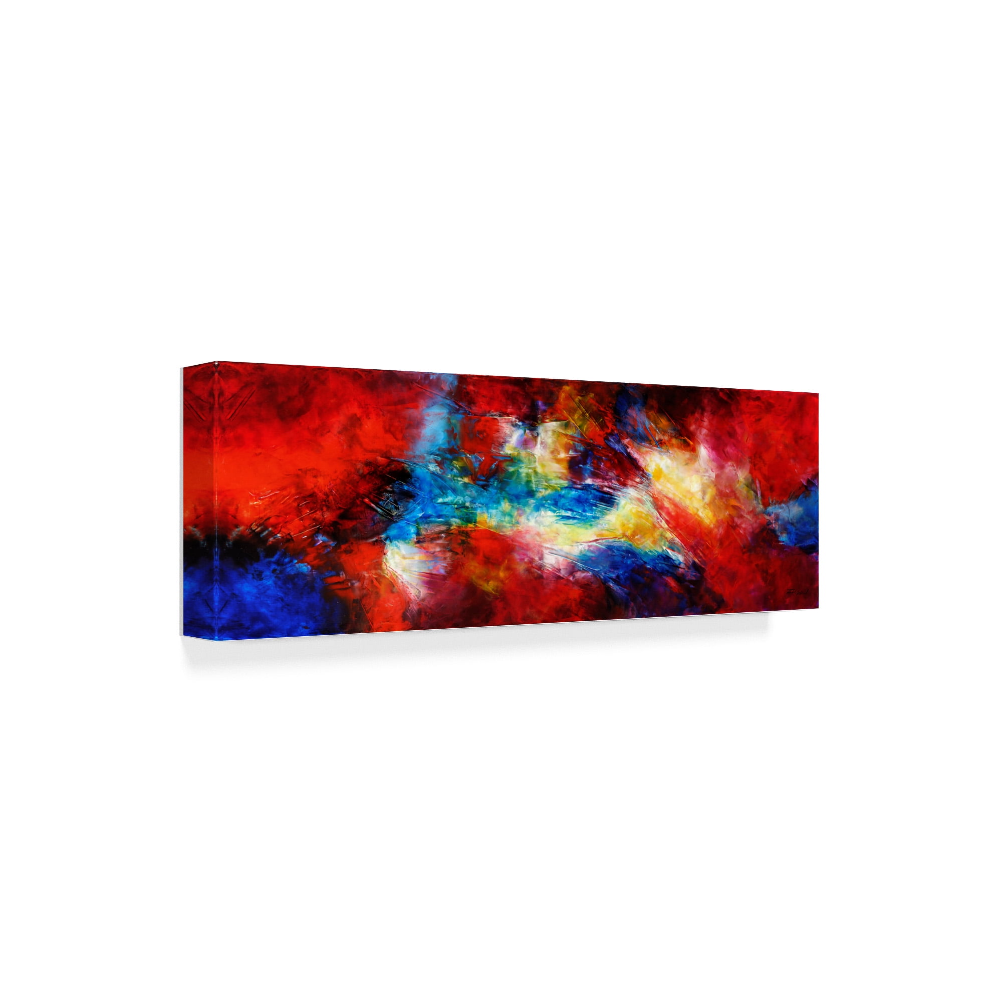Trademark Fine Art 'Cloudburst' Canvas Art by Aleta Pippin