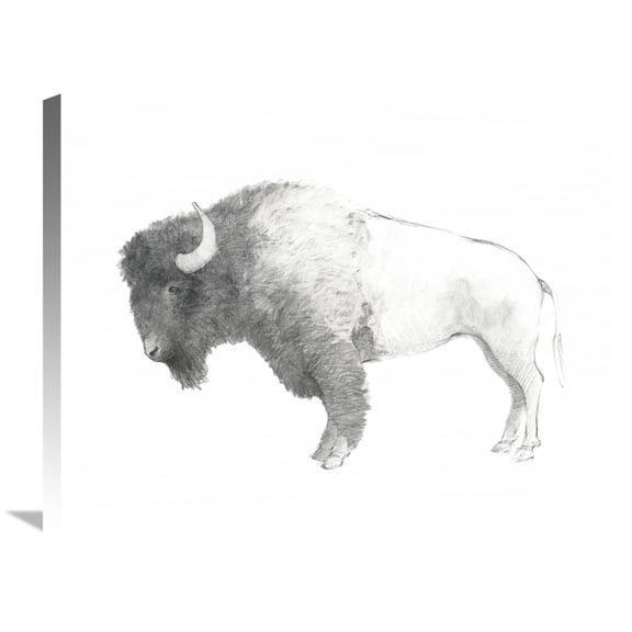 Global Gallery Avery Tillmon 'Bison Dark' Canvas Wall Art