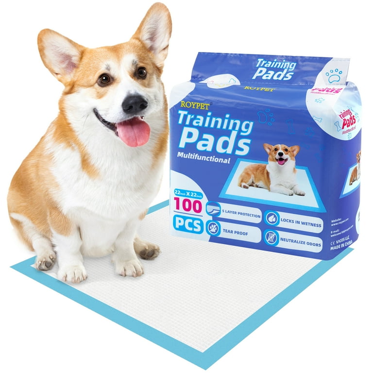 Paws Rescue Puppy Pads Top Paw Potty Time Fire Hydrant Roypet 22