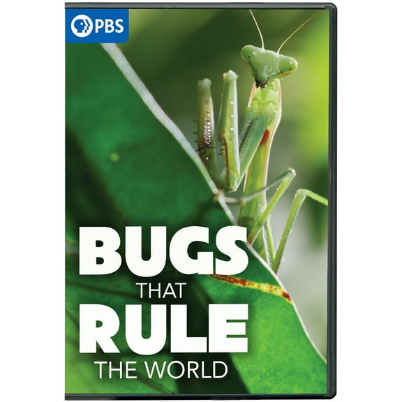 Bugs That Rule the World