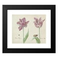 thumbnail image 2 of Jacob Marrel 23x20 Black Modern Framed Museum Art Print Titled - Two Tulips with Flying Beetle and Beervlinder (1637), 2 of 5