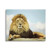 Stupell Industries Savanna Lion Photography Portrait Photograph Gallery Wrapped Canvas Print Wall Art, Design by Carrie Ann Grippo-Pike