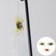thumbnail image 2 of 3pcs Artificial 3D Simulation Crab Lure Baits Simulation Fish Baits Fishing Lures Fishing Supplies with HookBrown, Green and Orange), 2 of 4