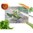 thumbnail image 2 of Carolines Treasures Pelican Bay Glass Cutting Board Large 12H x 16W multicolor, 2 of 2