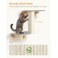 thumbnail image 4 of Estantes Dobles Pecute para Gatos con Poste para Rascar para Pared/Ventana, 4 of 9
