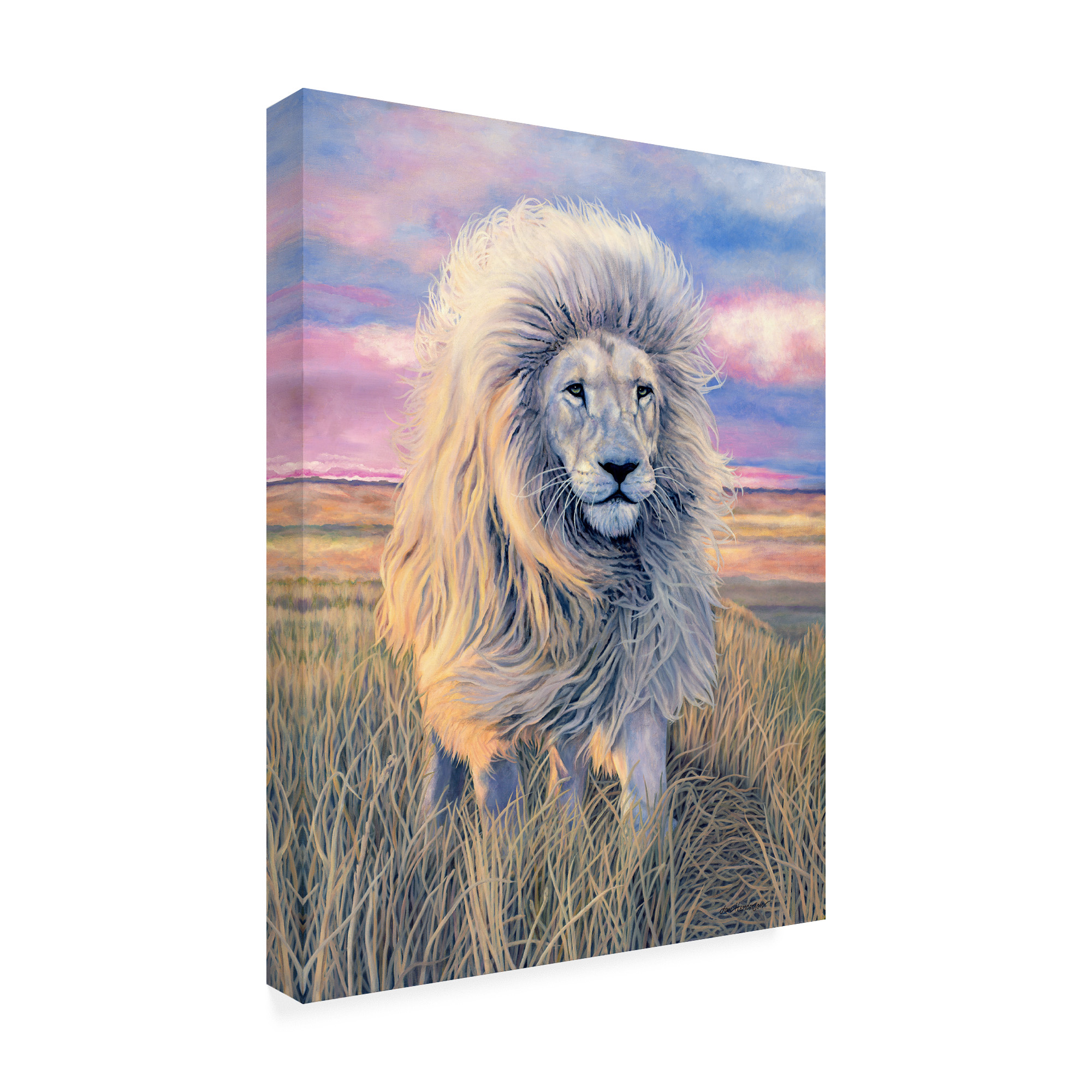 Trademark Fine Art 'Timbavati Messenger' Canvas Art by Jan Henderso