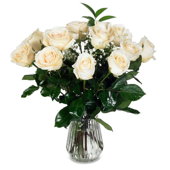 Fleurs Fraîches -Douze Roses Blanches