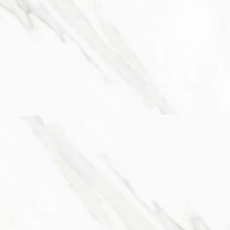 The Tile Life Delaney Blanco Polished Porcelain Floor & Wall Tile 24x48 in 2-Piece