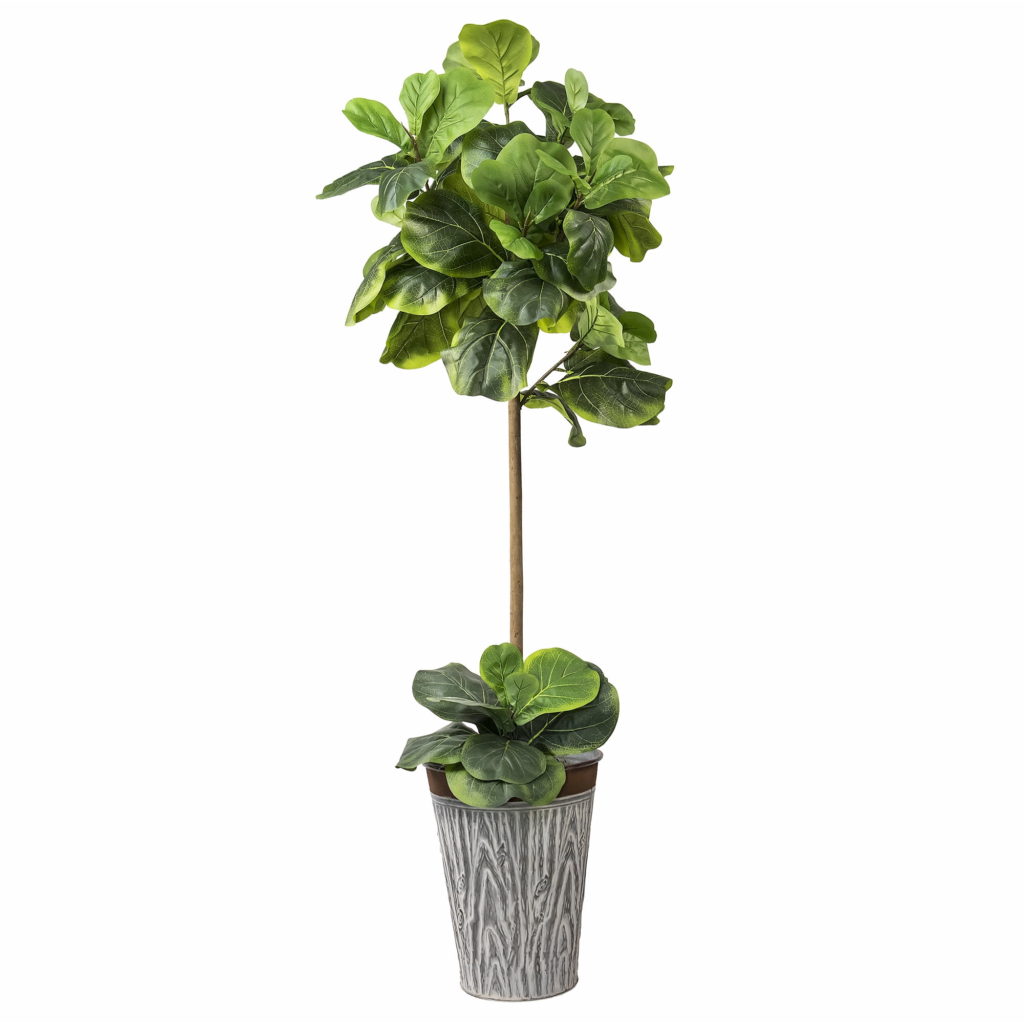 LCG Florals Artificial Tree, Fig Tree, 5 ft, Rustic Banded Metal Planter