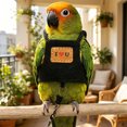 thumbnail image 4 of mdesiwst Bird Harness with 78.7 Inches Leash Escape-proof Parrot Harness Adjustable Bird Harness And Flying Rope for Budgies Macaws Cockatoos Outdoor Training, 4 of 8