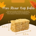 thumbnail image 2 of 3-Pack Mini Decorative Hay Bales Natural Straw, 2.5in x 3.5in Small Fall Harvest Décor for Tiered Trays Autumn Crafts Halloween Displays Thanksgiving Table Accents DIY Projects, 2 of 7