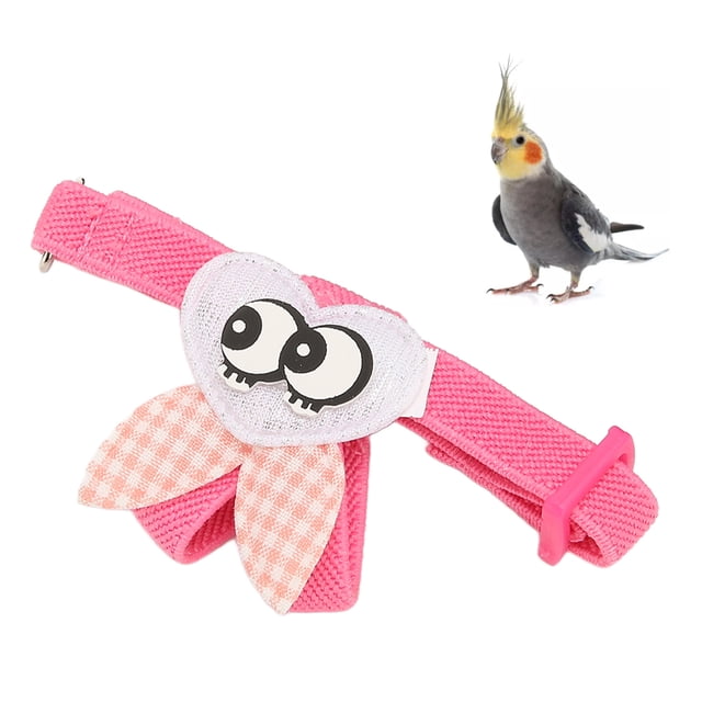 Birds Harness And Leash Harness Leash Harness Leash Ultra Light Bird Traction Rope For Training Outdoor Flying Kit