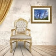 thumbnail image 3 of Popcorn 14x12 Gold Ornate Wood Framed with Double Matting Museum Art Print Titled - Wildflowers XI, Lupine, 3 of 4