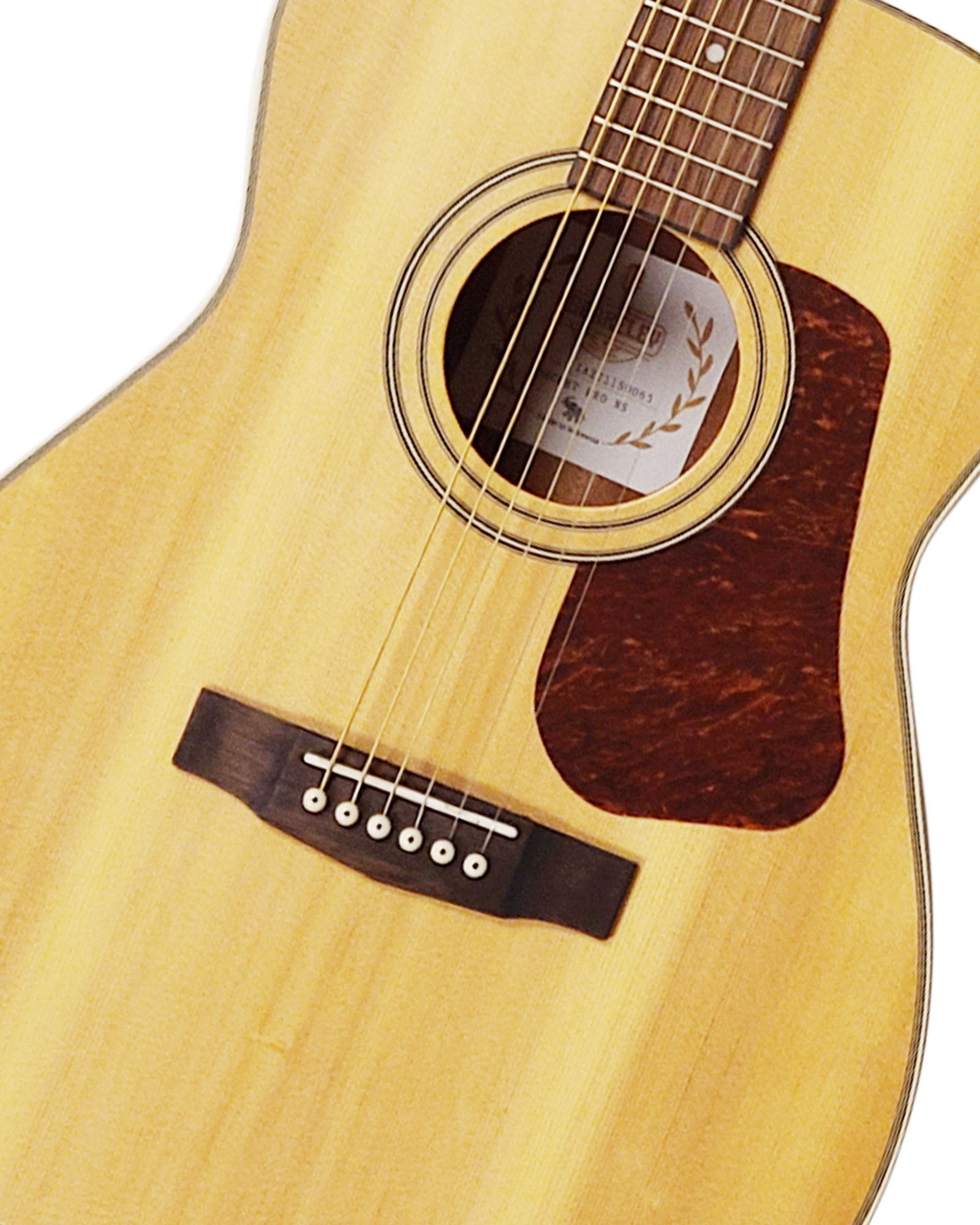 Berkeley CONCERTPRO-NS Solid Top Concert Acoustic Guitar