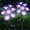 Purple, variant on 2Pack Morning Glory Solar Garden Lights, 8-Mode Solar Panel Outdoor Waterproof Flowers,for Yard Pathway Patio Lawn,Blue