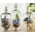 thumbnail image 4 of Home Essentials Terra Collection Set Of Three Assorted Mini Glass Cannisters, 4 of 4