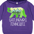 thumbnail image 3 of Inktastic Gatlinburg, Tennessee Mountains and Bear Shape Toddler Hoodie, 3 of 4