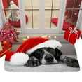 thumbnail image 3 of KYAIGUO Christmas Doormat, Cute Dog Animal Doormat Anti-Slip Carpet Floor Mat Decoration Suitable for Home Bathroom Kitchen Indoor 16x24inch, 3 of 5