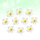 thumbnail image 2 of 10 horquillas para el pelo de 6 cm con forma de flor hawaiana, con forma de huevo, para fiesta luau en la playa (blanco y amarillo), 2 of 7