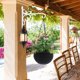 thumbnail image 3 of Sungmor Gancho Pared Hierro Fundido p/ Plantas - Soporte colgante resistente p/ hogar y jardín - Gancho decorativo blanco 2 pzs p/ colgar maceta, comedero aves, jaula, linterna y campana de viento, 3 of 9