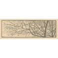 thumbnail image 3 of Willem Pothast 18x9 Black Modern Framed Museum Art Print Titled - Tree Takken (1887 - 1916), 3 of 5