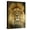 Canvas, variant on Art.com Portrait of a Lion Stretched Canvas Print Wall Art, 12" x 16"
