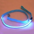 thumbnail image 2 of Opolski LED Dog Leash Glow in The Dark  Pet Dog Glow LED Flashing Light Nylon Safety Anti-lost Leash Lead Rope Belt  for Pet Products Dog Accessories, 2 of 5