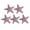 Purple, variant on Stable Grip Hair Clip 5pcs Girls Hairpin Set with Starfish Shape Hair Clip Stable Grip Macaron Colors Trendy Summer Hair for Beach for Women