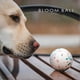 thumbnail image 5 of Small Popcorn Ball Toy for Dog Bite-resistant Wear-resistant Pet Toy Ball for Indoor Outdoor, 5 of 5