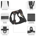 thumbnail image 3 of Vsdgher Cute Big-Eared Mouse Pattern Dog Harness,No Pull Pet Harness with Soft Padded Handle,Adjustable Reflective Vest with 2 Buckles,4 Slide Buckles,S-XL Large, 3 of 5