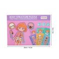 thumbnail image 3 of Children Wooden Human Body Organ Structure Cognition Puzzle Jigsaw Toy Educational ToysGirl Body Structure Puzzle, 3 of 4