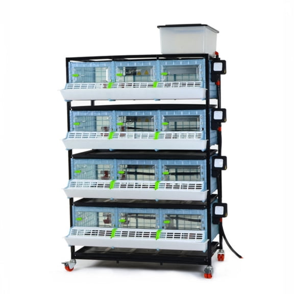 Hatching Time Chick Brooder - 4 Layer H: 9.5" (Power-Washable, Durable, ABS Plastic) | Cimuka