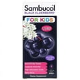 thumbnail image 2 of Black Elderberry Syrup for Kids 7.8 oz (Pack of 2), 2 of 3