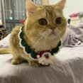 thumbnail image 5 of Pet collars, dog drool scarves, neck rings, cat scarves, neck accessories for Christmas, 5 of 5