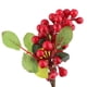 thumbnail image 3 of Ramo de boda artificial de tallo largo con ramas de bayas y frutas. rojo, 3 of 9