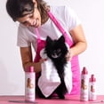 thumbnail image 4 of Perfume, desodorizante y desenredante Paris Hilton Dog 295 ml, 4 of 9