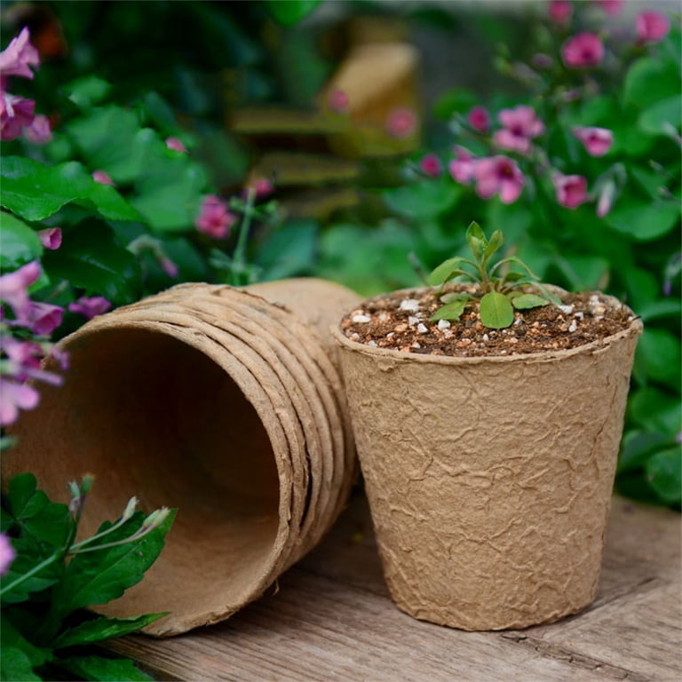 plant pot huggers Pot Huggers 28, House Mouse main image 0