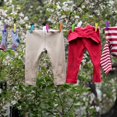 thumbnail image 5 of 48 piezas de alfileres para ropa, clips para tela, clips fuertes, tachuelas para zapatos, alfileres para ropa a prueba de viento, multicolor, 5 of 5