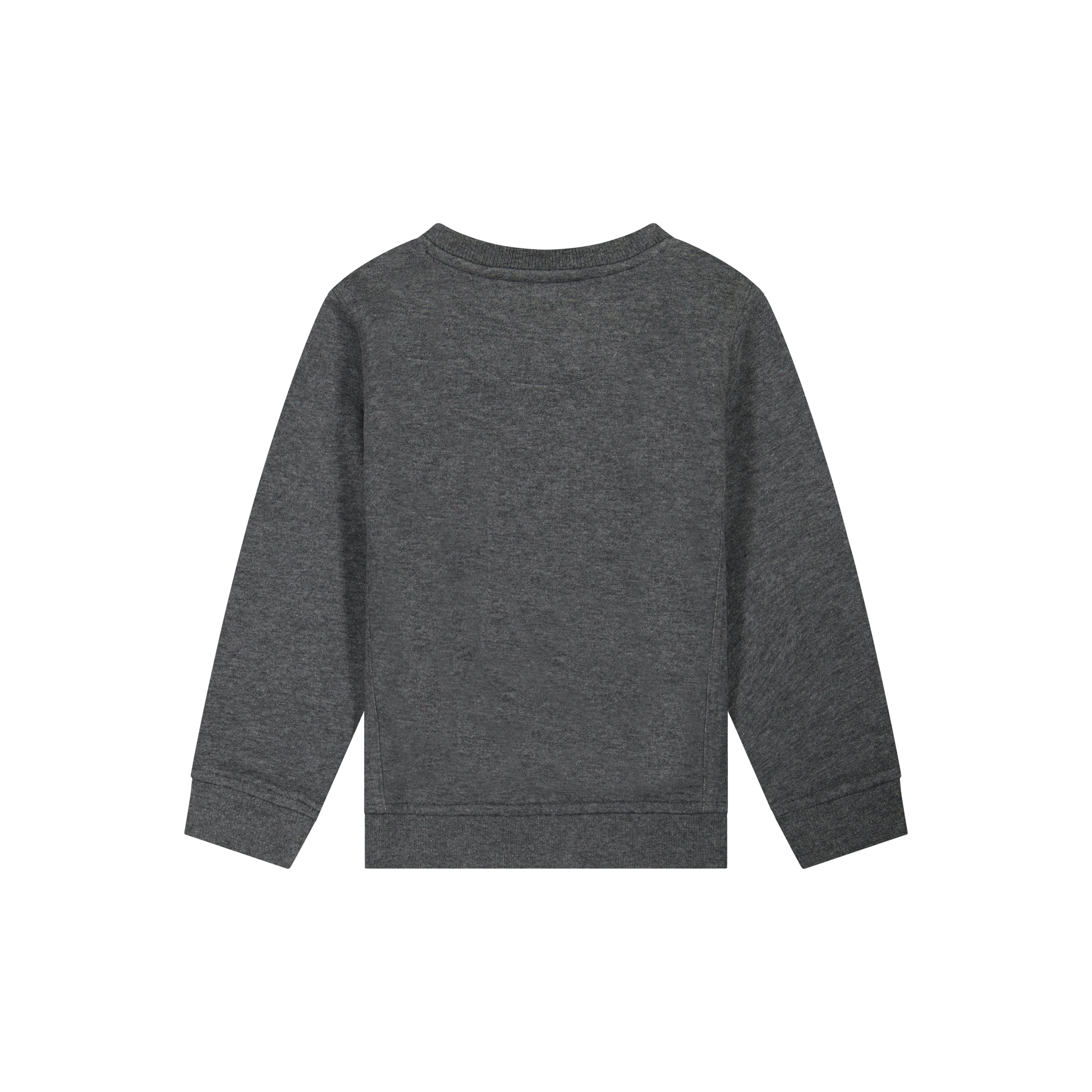 Reebok Toddler Boy Fleece Crewneck Sweatshirt, Sizes 12M-5T