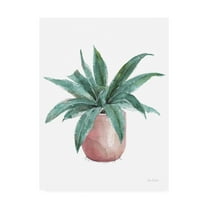 Trademark Fine Art 'Mixed Greens Succulent I' Canvas Art by Lisa Audit