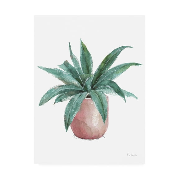 Trademark Fine Art 'Mixed Greens Succulent I' Canvas Art by Lisa Audit